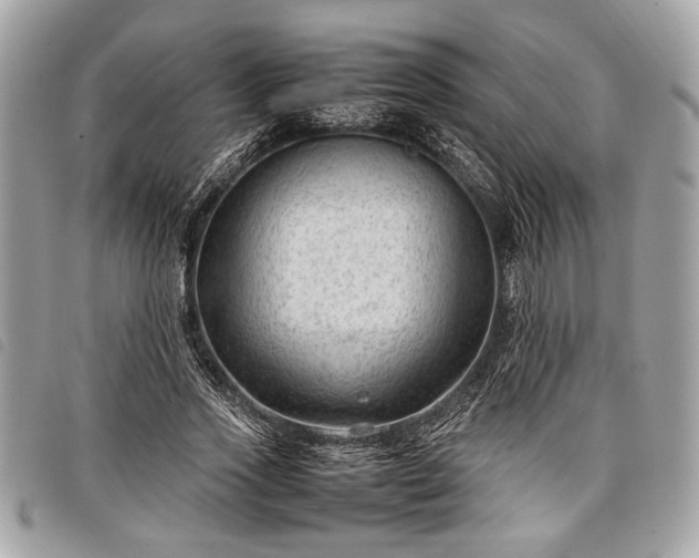 X0000098020733200804071353