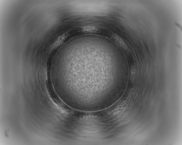 X0000098020734200804071353