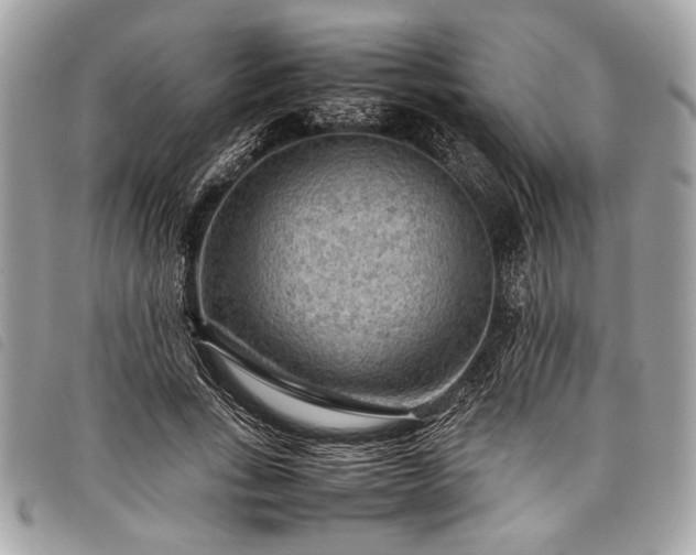 X0000098020735200804071353