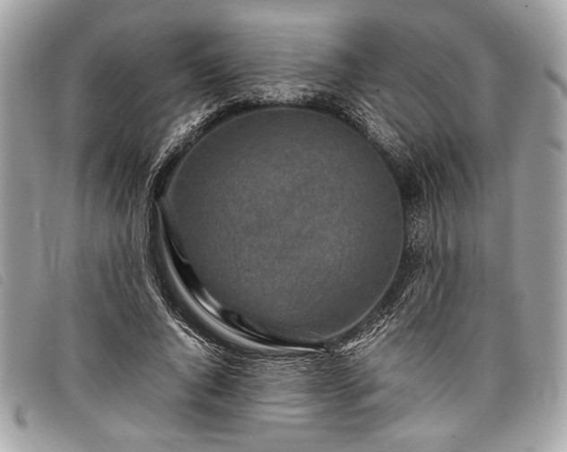 X0000098020736200804071353