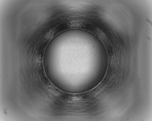 X0000098020737200804071353