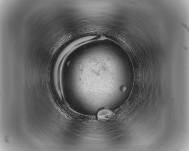 X0000098020738200804071353