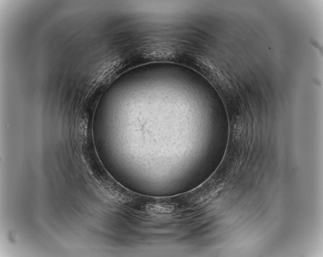 X0000098020739200804071353