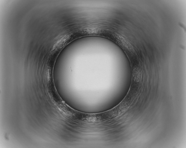 X0000098020740200804071353