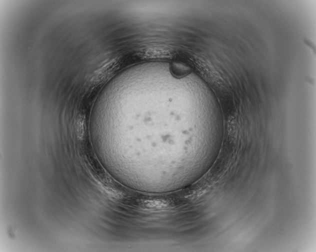 X0000098020741200804071353