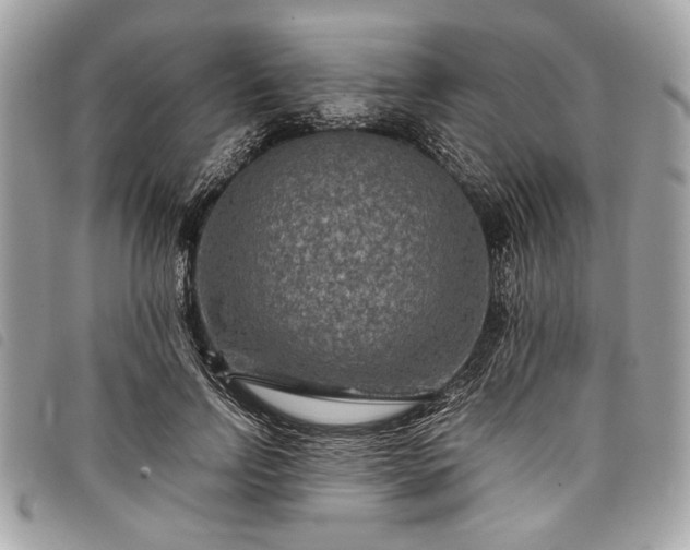 X0000098020742200804071353