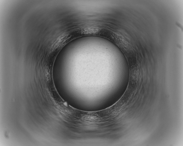 X0000098020743200804071353