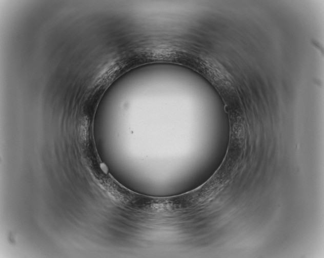 X0000098020744200804071353