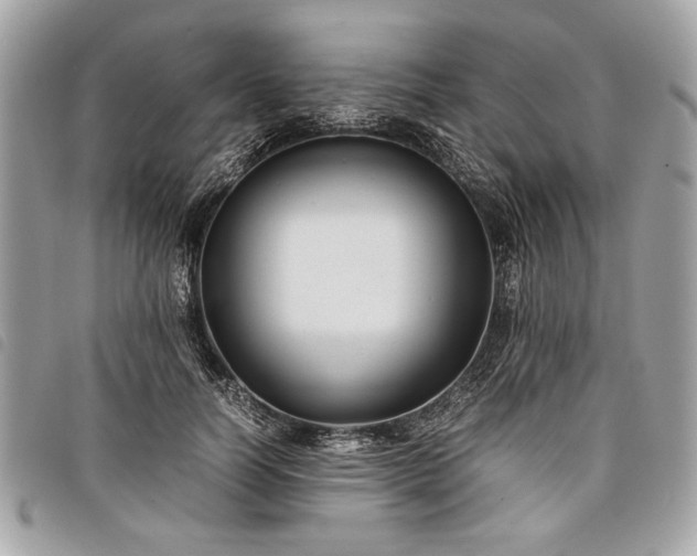 X0000098020746200804071353