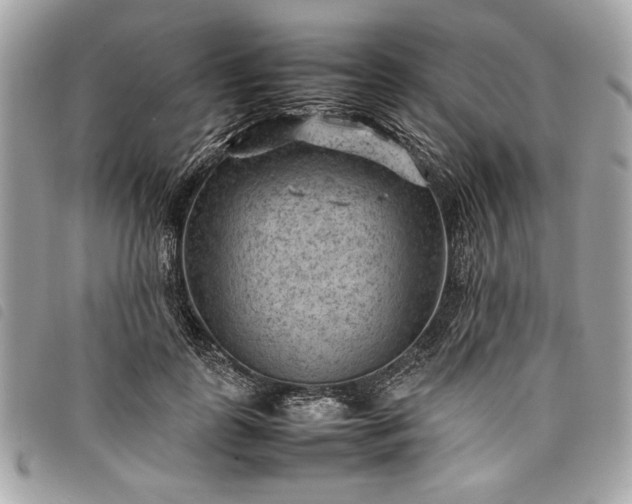 X0000098020747200804071353