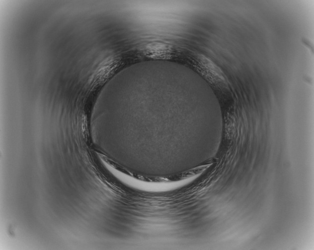 X0000098020748200804071353