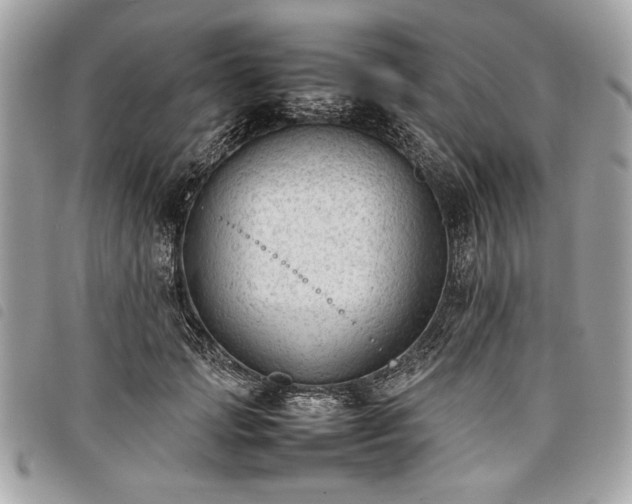 X0000098020749200804071353