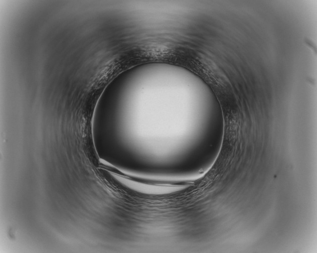 X0000098020750200804071353