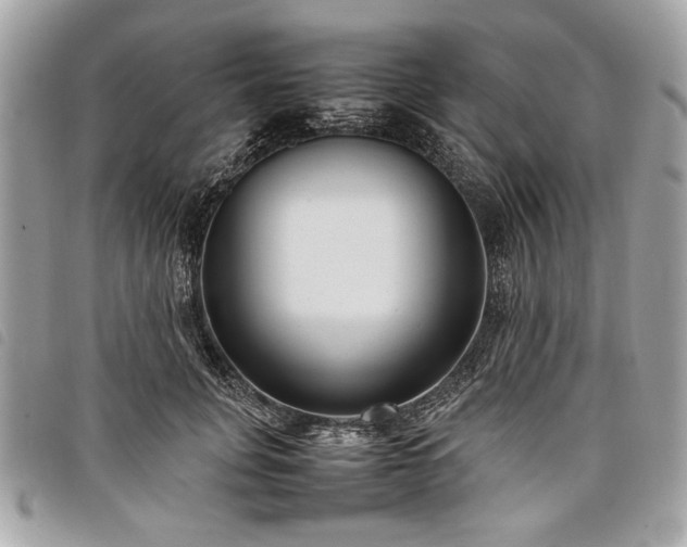 X0000098020751200804071353