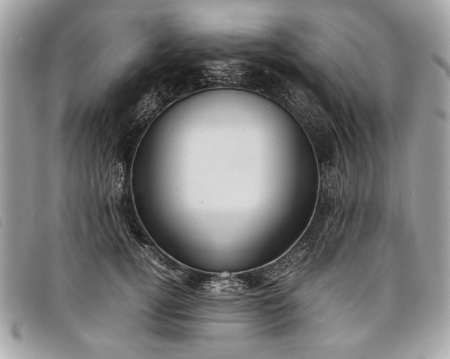 X0000098020752200804071353