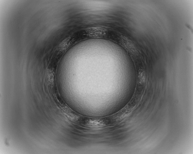 X0000098020753200804071353