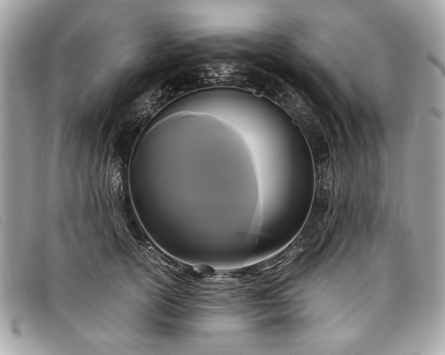 X0000098020754200804071353