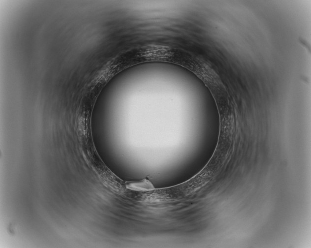 X0000098020755200804071353