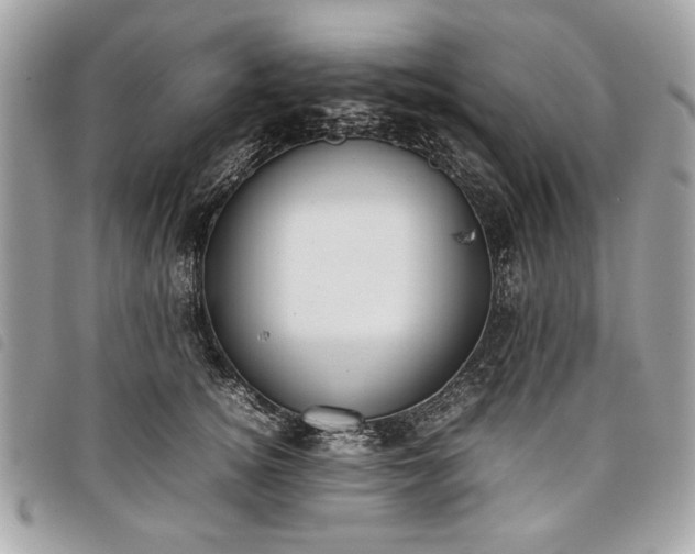 X0000098020756200804071353