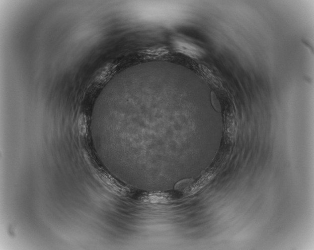 X0000098020758200804071353