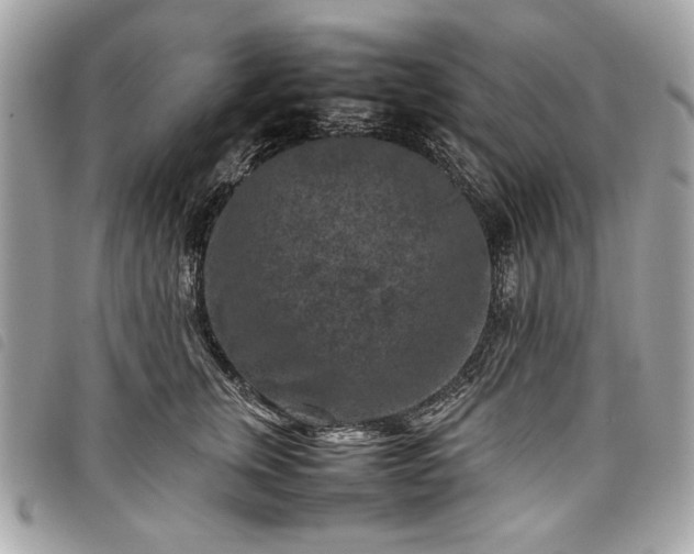 X0000098020759200804071353