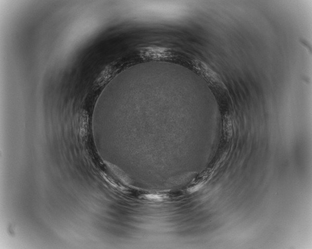 X0000098020760200804071353