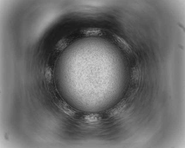 X0000098020761200804071353