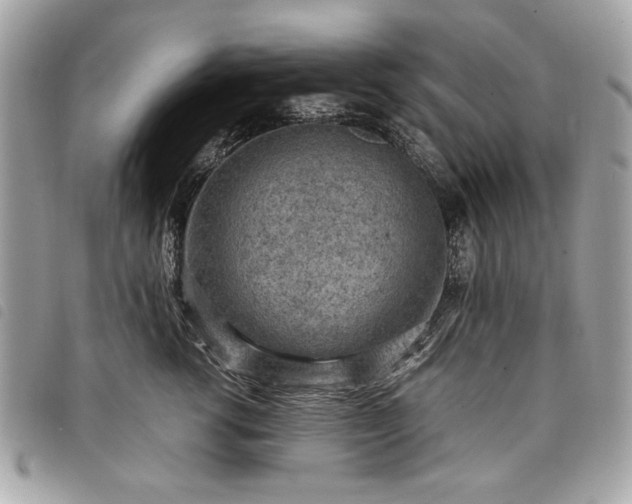 X0000098020762200804071353