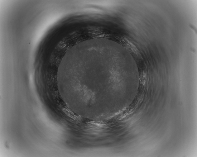 X0000098020763200804071353