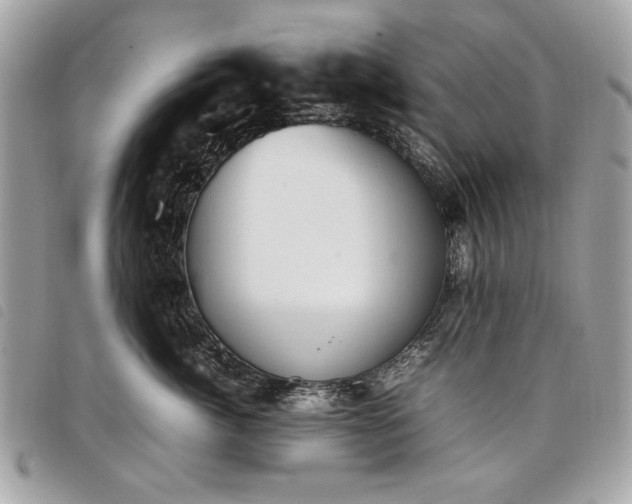 X0000098020764200804071353