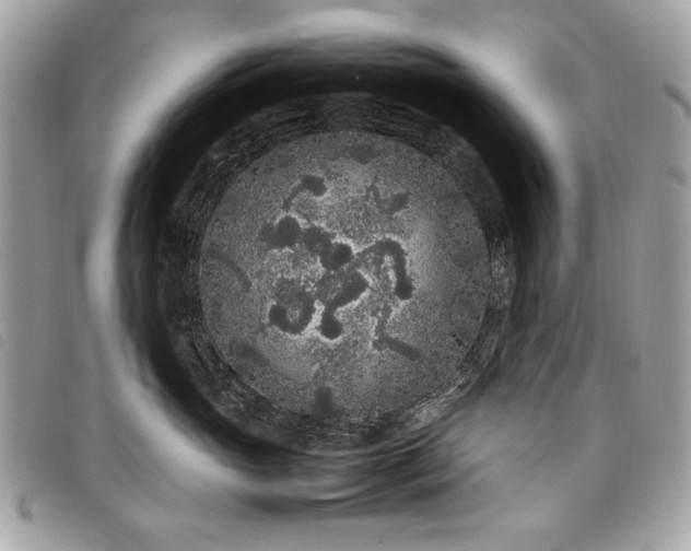 X0000098020765200804071353