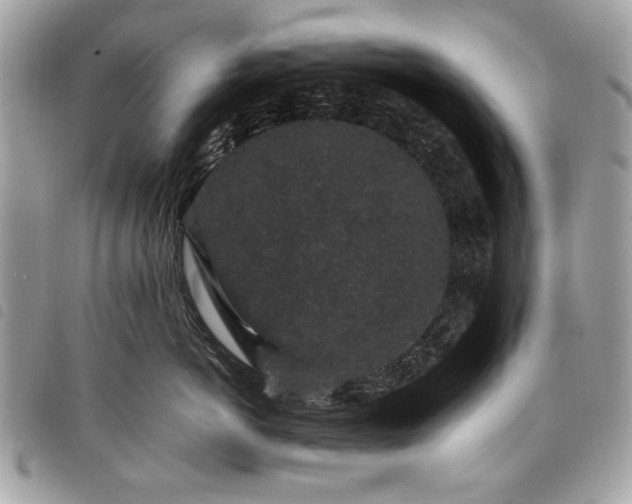 X0000098020766200804071353