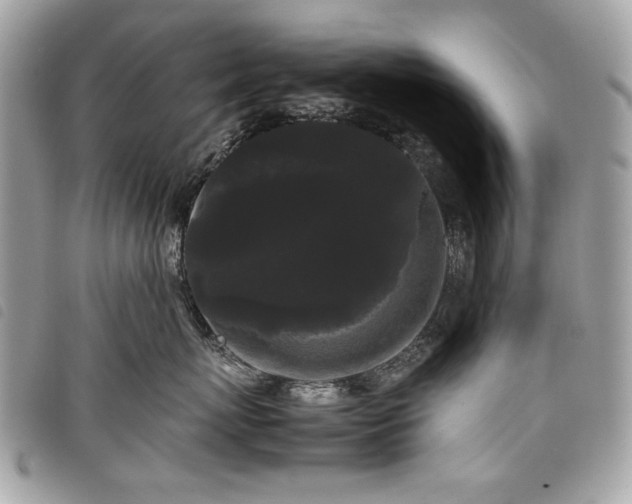 X0000098020767200804071353