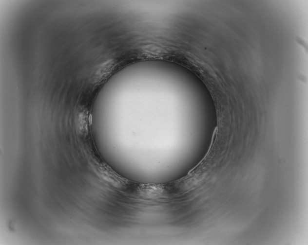 X0000098020768200804071353