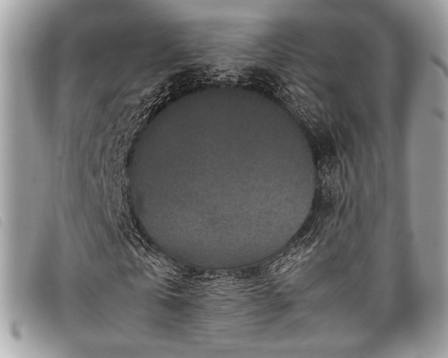 X0000098020769200804071352