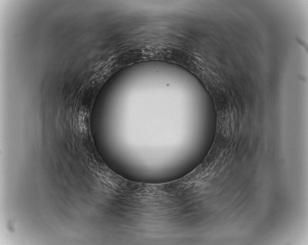 X0000098020770200804071352