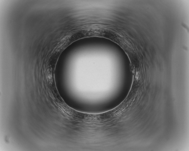 X0000098020771200804071352