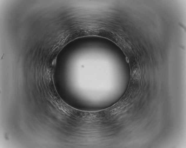 X0000098020772200804071352