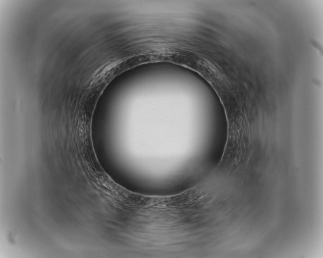 X0000098020773200804071352