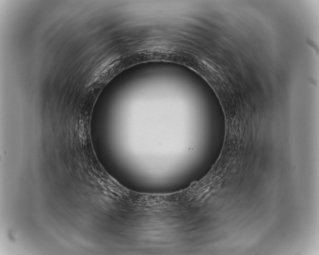 X0000098020774200804071352