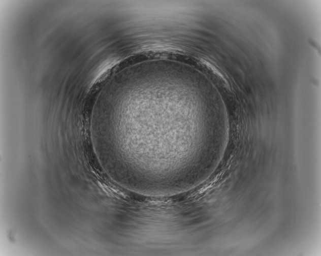 X0000098020775200804071352