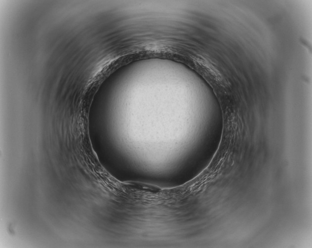 X0000098020776200804071352