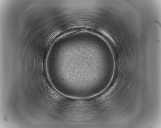 X0000098020777200804071352