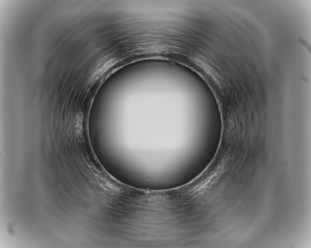 X0000098020778200804071352