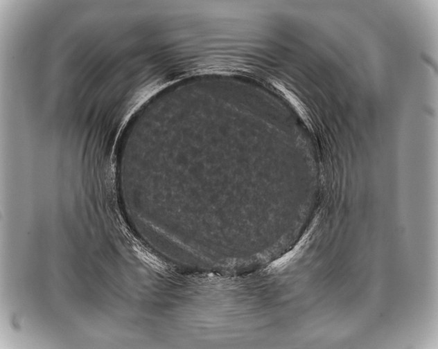 X0000098020779200804071352