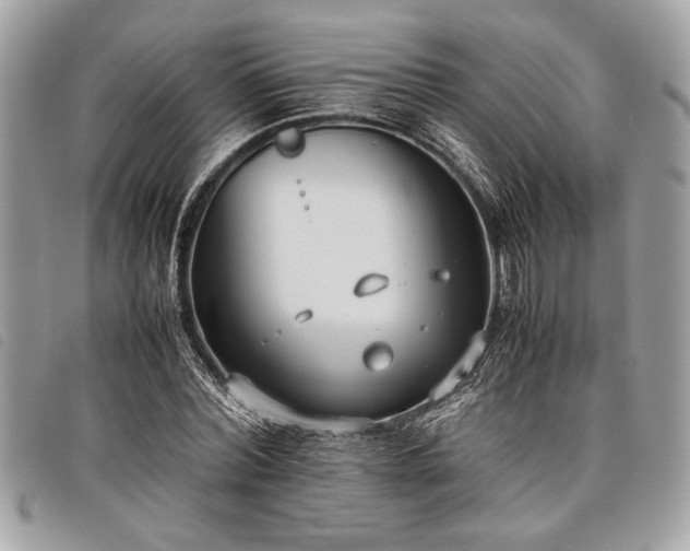 X0000098020780200804071352