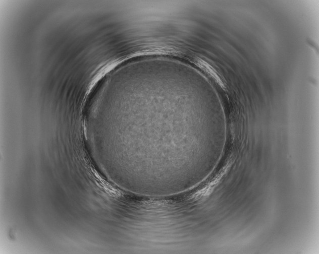 X0000098020781200804071352