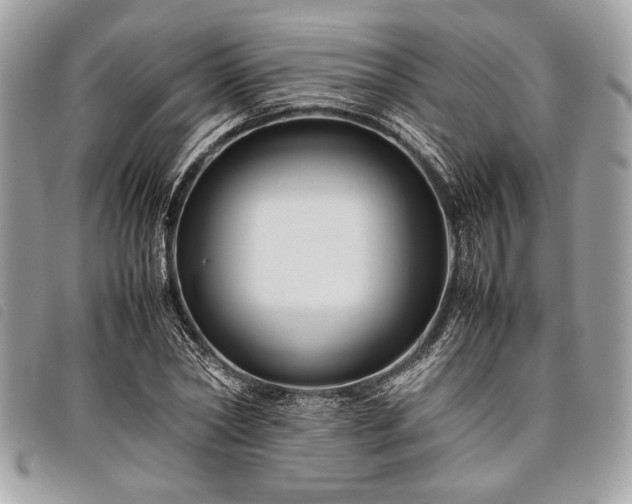 X0000098020782200804071352