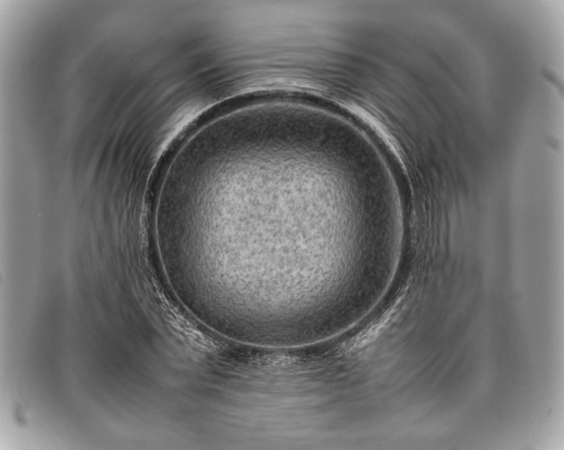 X0000098020783200804071352