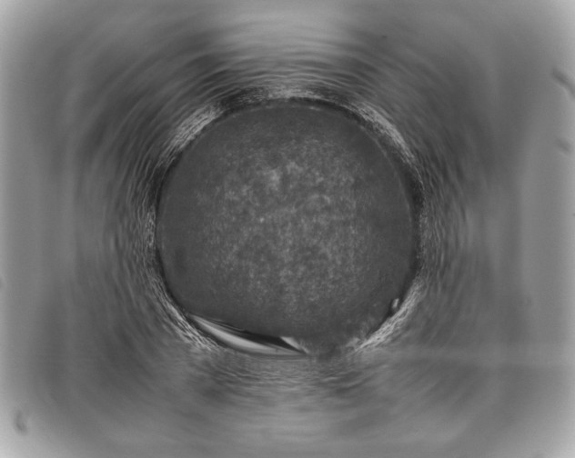 X0000098020785200804071352